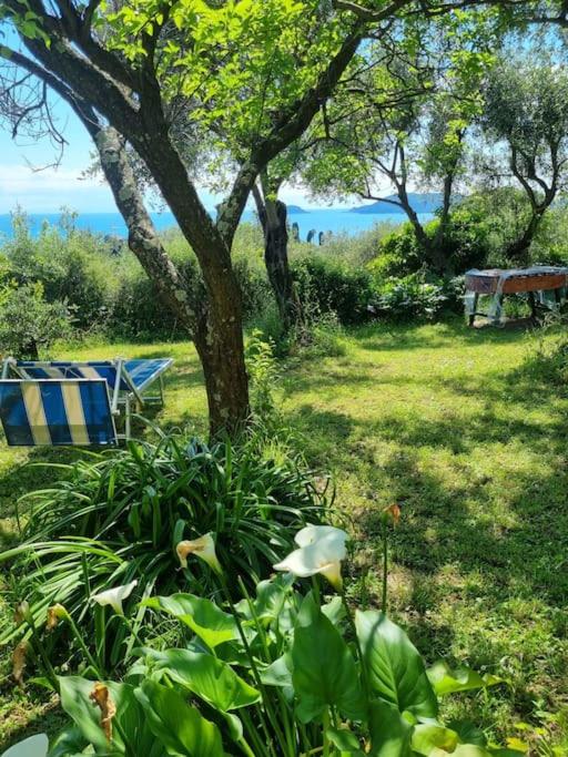 a park with a picnic table and a tree at Patty's Cottage with private PARKING in Lerici