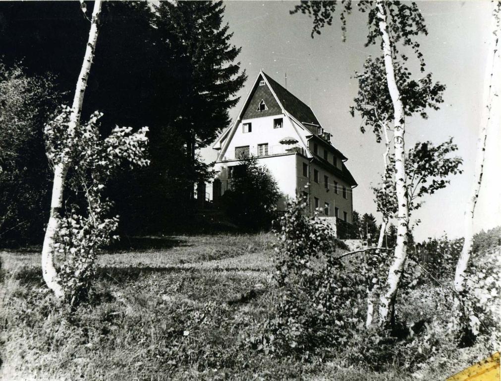 Zahrada ubytování Jandlova Vila
