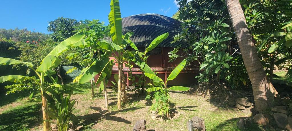 Location " la Pirogue " Maison d'Hôtes à Moorea - photo 11 - Moorea, Polynésie
