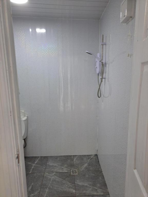 a bathroom with a shower and a toilet at 2 Bed apt 1 kitchen 1 Bath in Birmingham