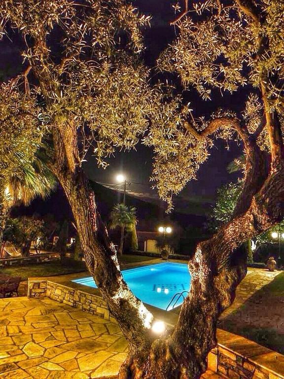 a tree in front of a swimming pool at night at Villa Olive in Áno Lekhónia