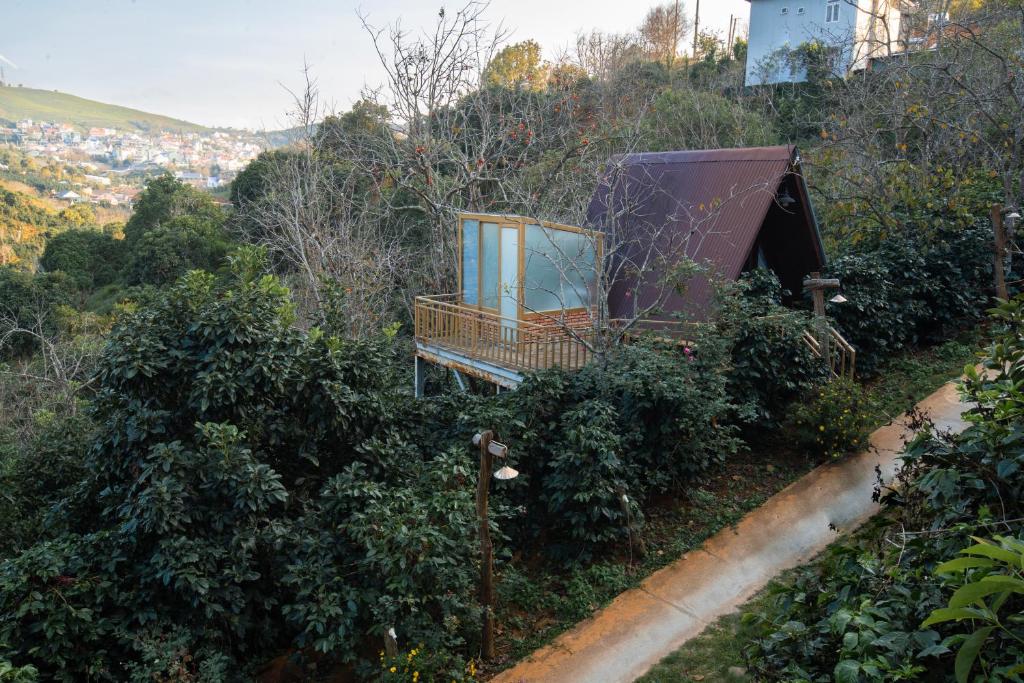 Mộc Trà Farm, Xuân Trường (giá cập nhật 2025)