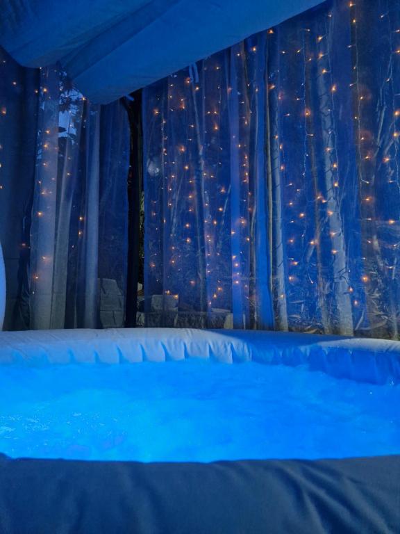 uma cama num quarto com uma cortina azul em Le Vénusien em Le Robert