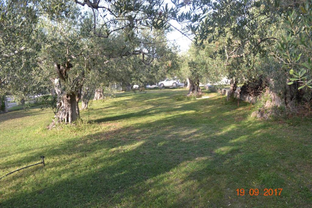 Príroda v okolí vily