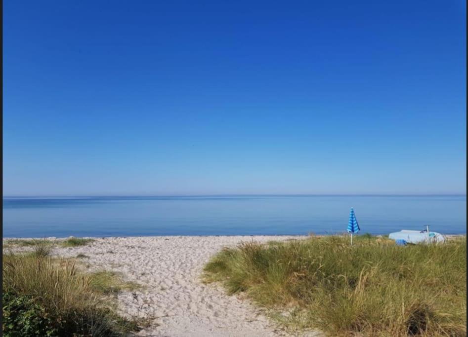 a sandy beach with a tree in the distance at 120 m fra stranden med ro og hygge in Kalundborg