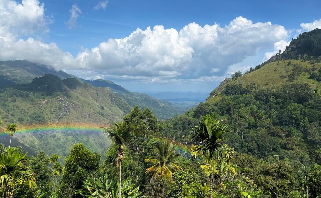 Blooming Rose Ella - 14