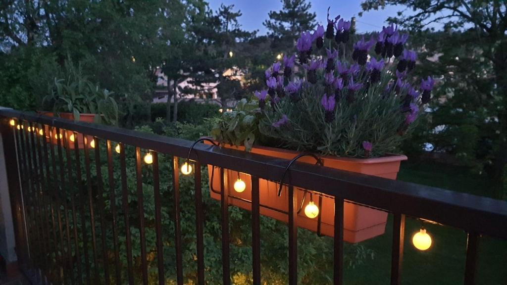 płot ze światłami i fioletowymi kwiatami w obiekcie Verdemare w mieście Duino