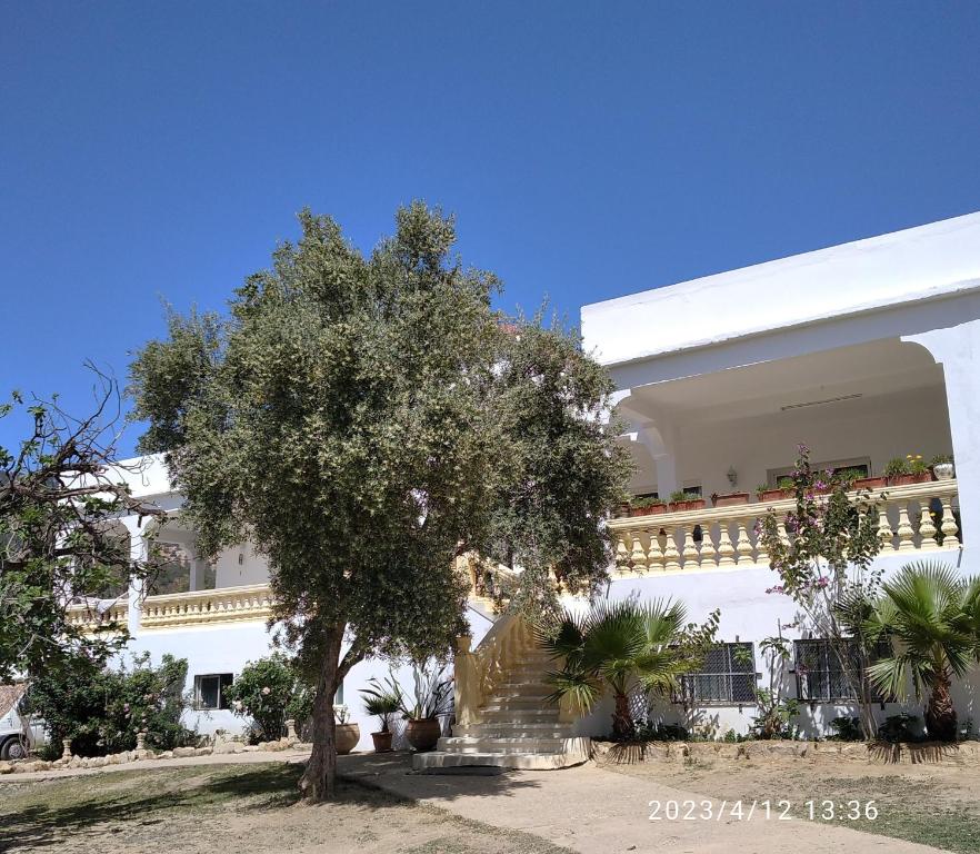 Biały budynek z drzewem przed nim w obiekcie Domaine des Sloughis w mieście Meknès