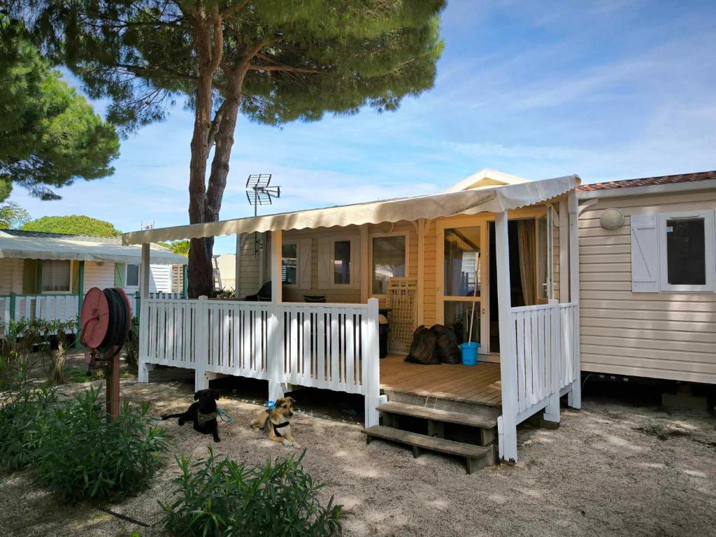 a tiny house with a porch and two dogs sitting outside at Mobil-home au Camping familial 4 étoiles Les Sables d'Or in Cap d'Agde