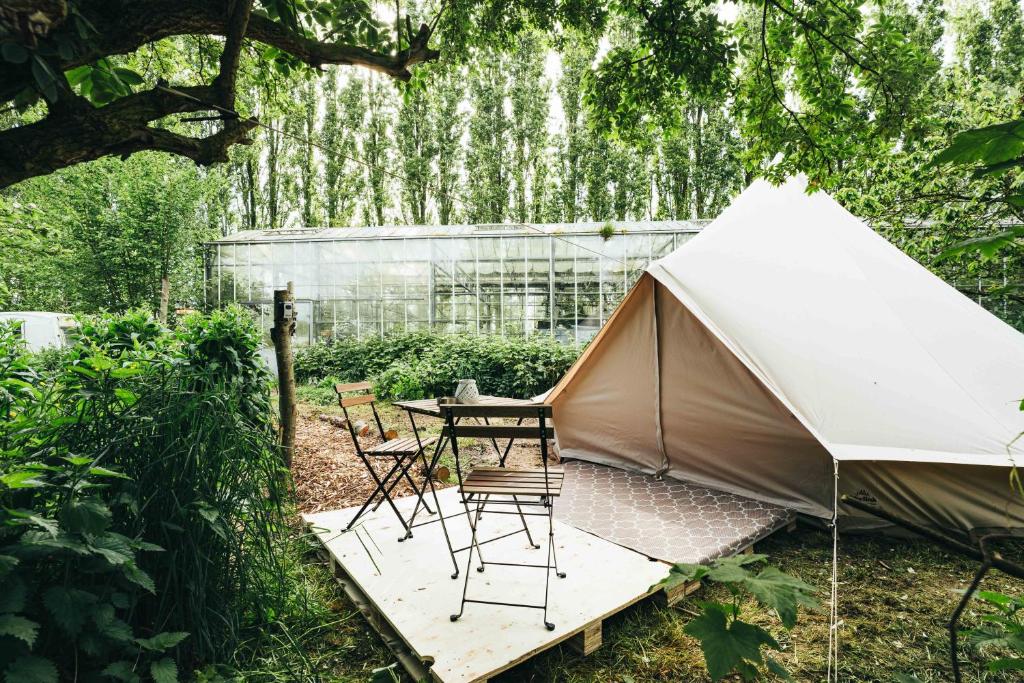 a tent with chairs and a table in a garden at Luxe Glamping Tent in West-Friesland in Venhuizen