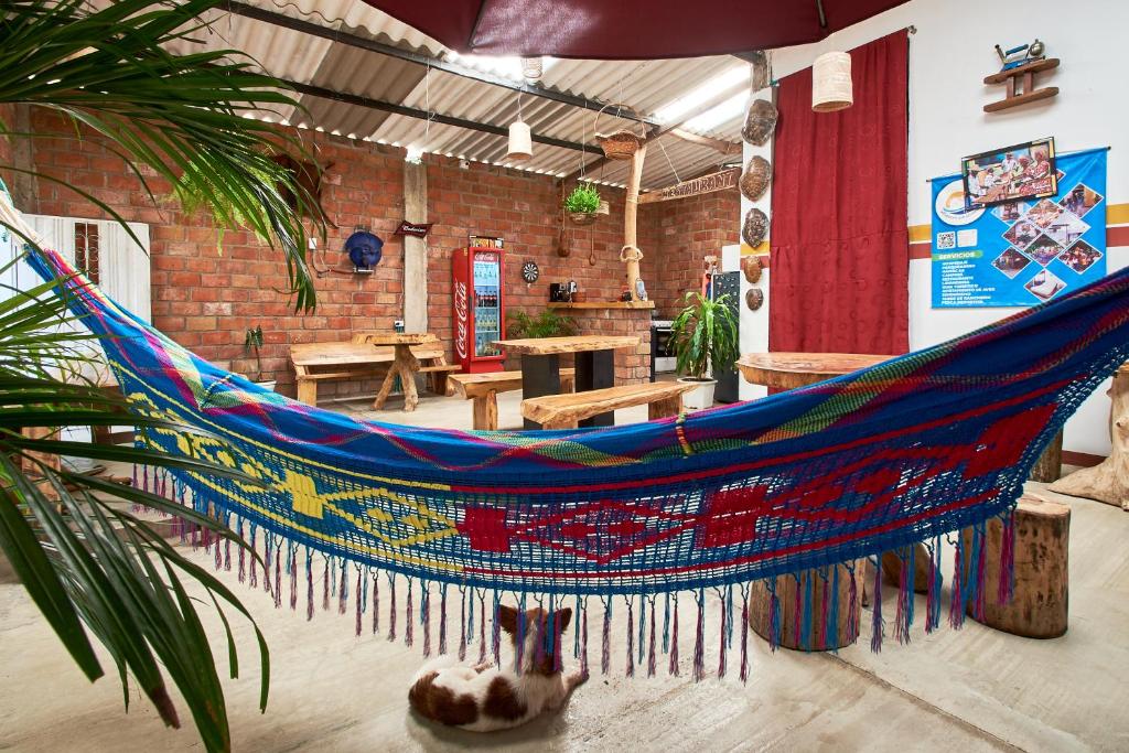 a dog sitting in a hammock in a room at Hotel flamencamarones in Camarones