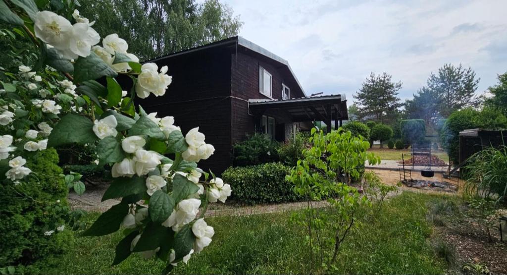 una casa negra con flores blancas delante en Dom letniskowy przy lesie nad jeziorem en Rogowo
