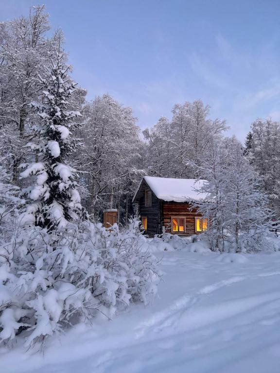 a log cabin in the snow with a tree at Gemütliche Blockhütte mit Sauna in Jörn