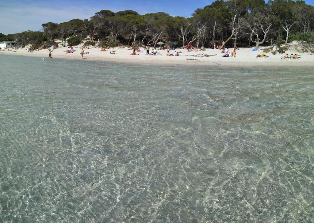 Paesaggio naturale nelle vicinanze della casa vacanze