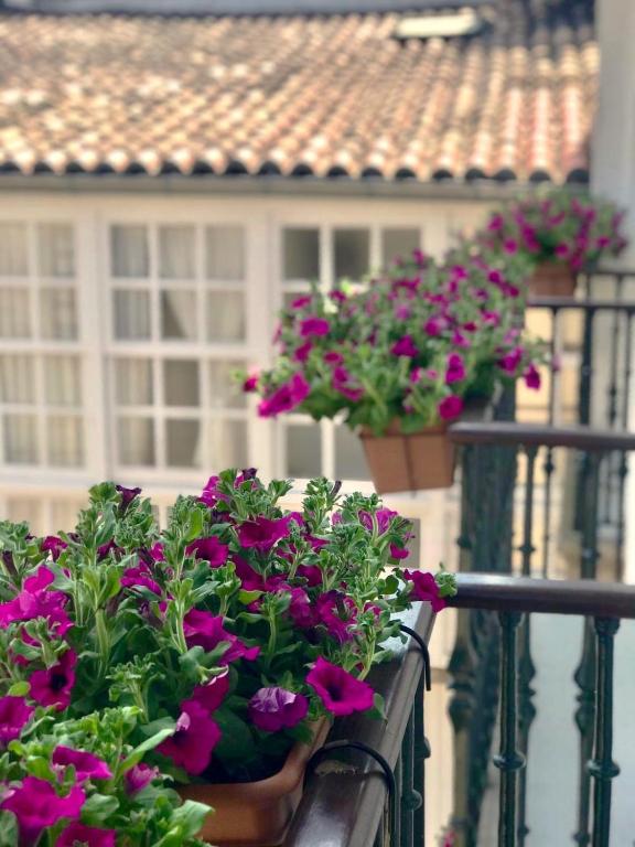 Balkón alebo terasa v ubytovaní Casa Celsa-Barbantes