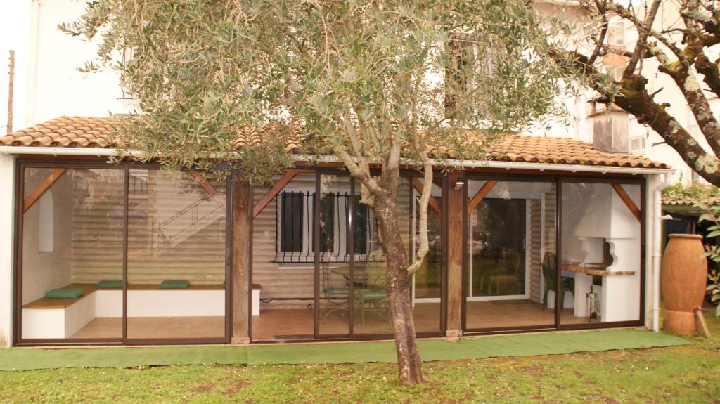 un porche grillagé avec un arbre dans la cour dans l'établissement Chouette, à Royan
