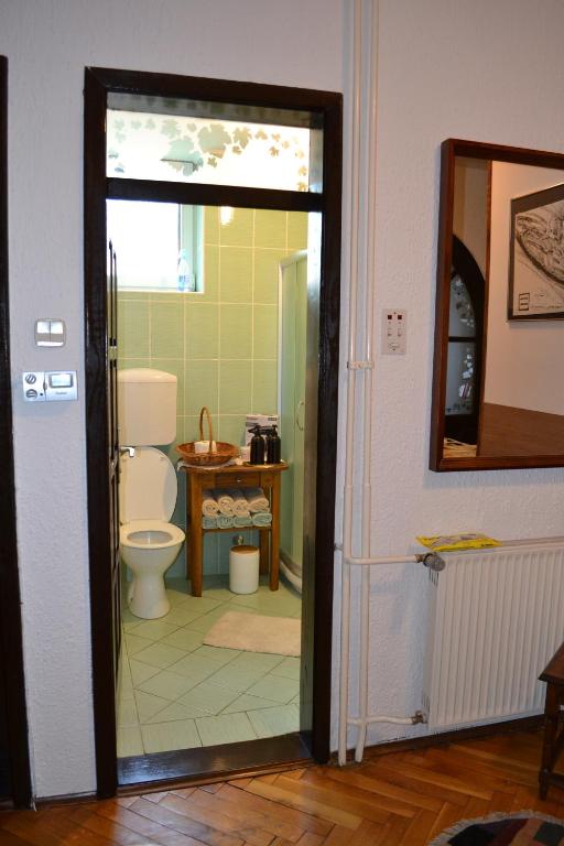 un bagno con un water e un lavandino di Apartman Gluhović a Sombor