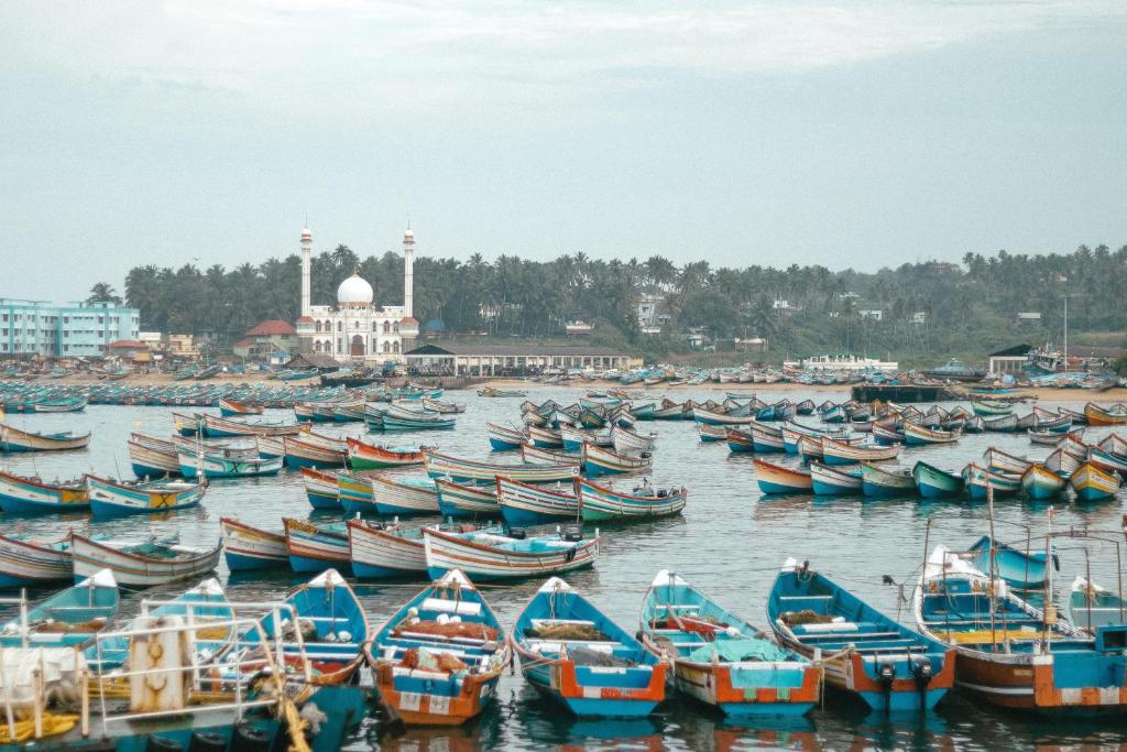 a bunch of boats are docked in the water at Santa Maria Hostel Kovalam in Kovalam