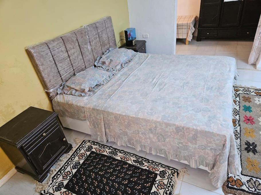 a bedroom with a bed and a television and rug at Hadhri Appartement in Tozeur