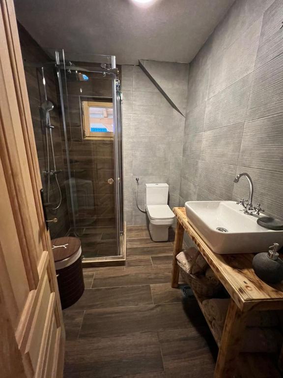 a bathroom with a shower and a sink and a toilet at Brvnara La Forêt in Žabljak