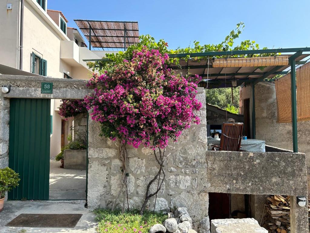 スラノにあるVilla Rinaの壁からぶら下がっているピンクの花の茂み