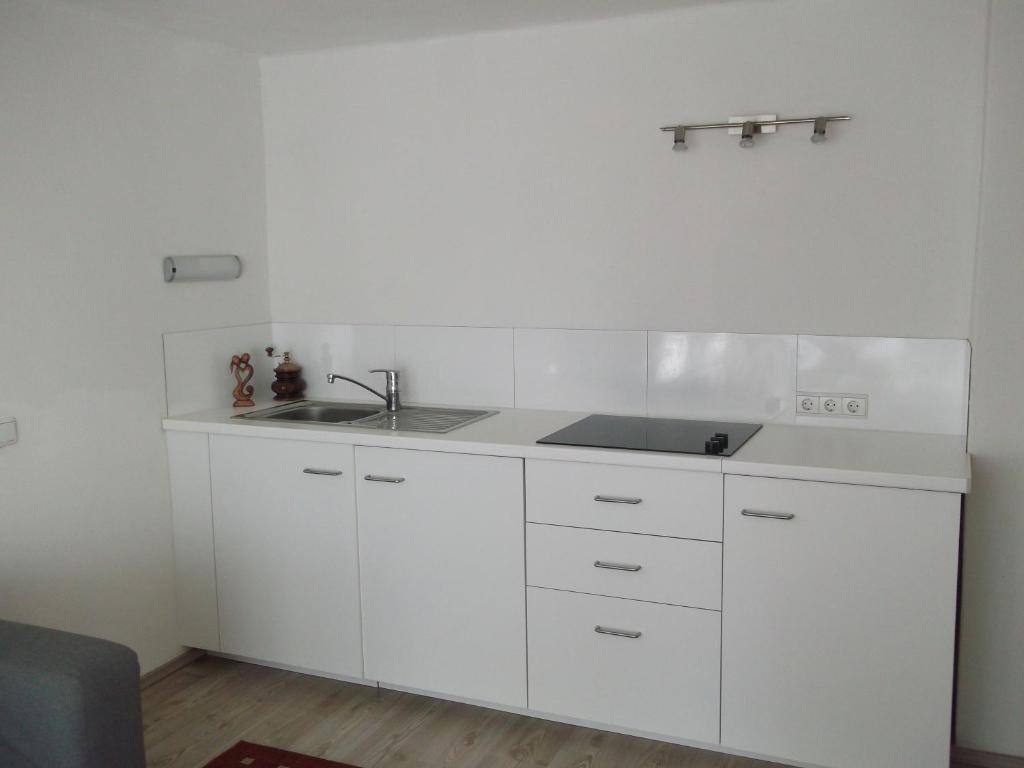 una cocina con armarios blancos y fregadero en Sagzahnblick en Kundl