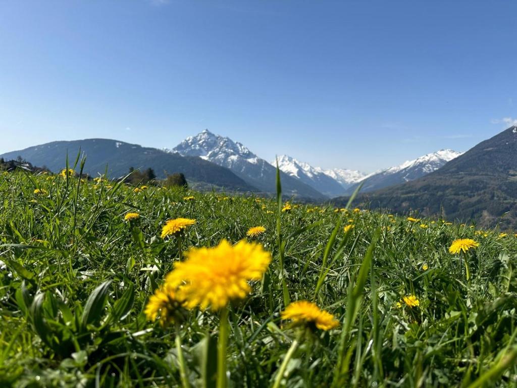 Hotel Restaurant Grünwalderhof - Resim 19
