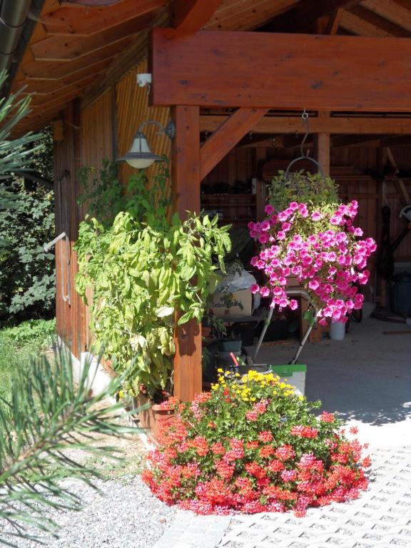 Zahrada ubytování FeWo in der Weinleiten