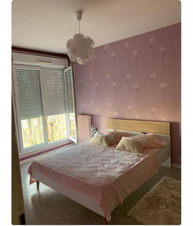 - une chambre avec un grand lit aux murs roses dans l'établissement Appartement spacieux et lumineux, à Vandœuvre-lès-Nancy