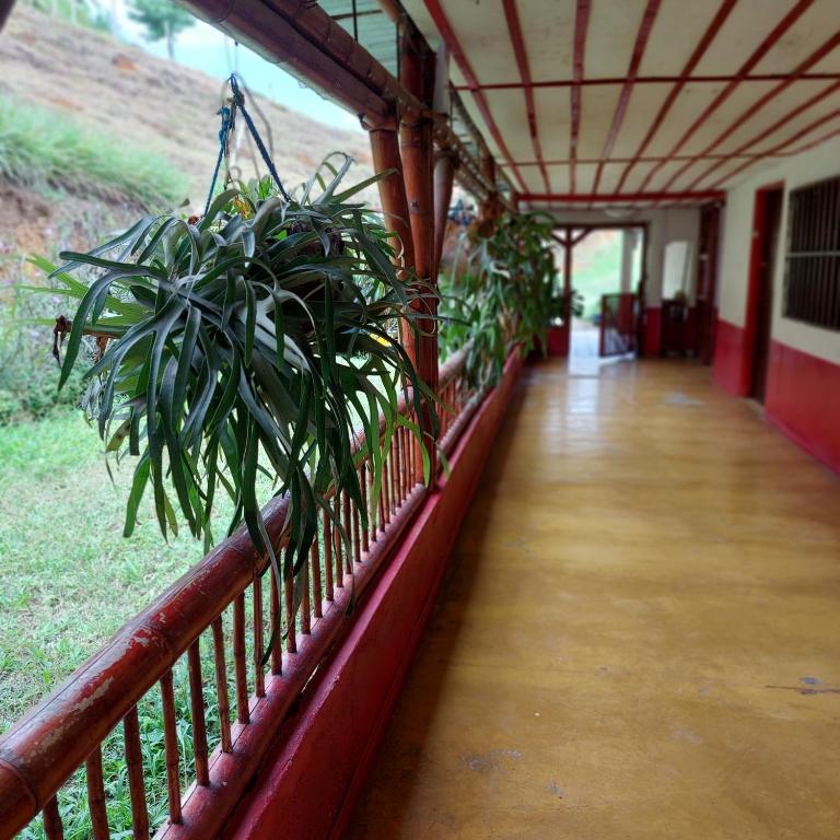Fotografie z fotogalerie ubytování Finca La Macarena by Welttisch v destinaci Génova