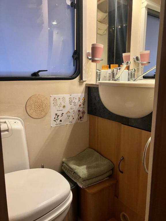Koupelna v ubytování Glamping Karavan u Konopiště