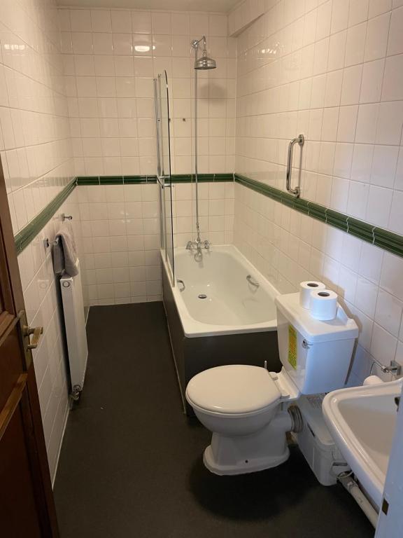 a bathroom with a toilet and a bath tub at The Olde Swan Hotel in Chertsey