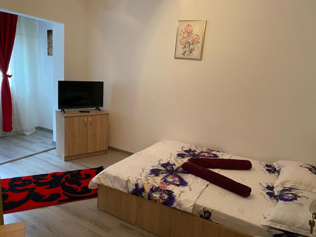 a bedroom with a bed and a flat screen tv at Apartament Costescu in Băile Herculane