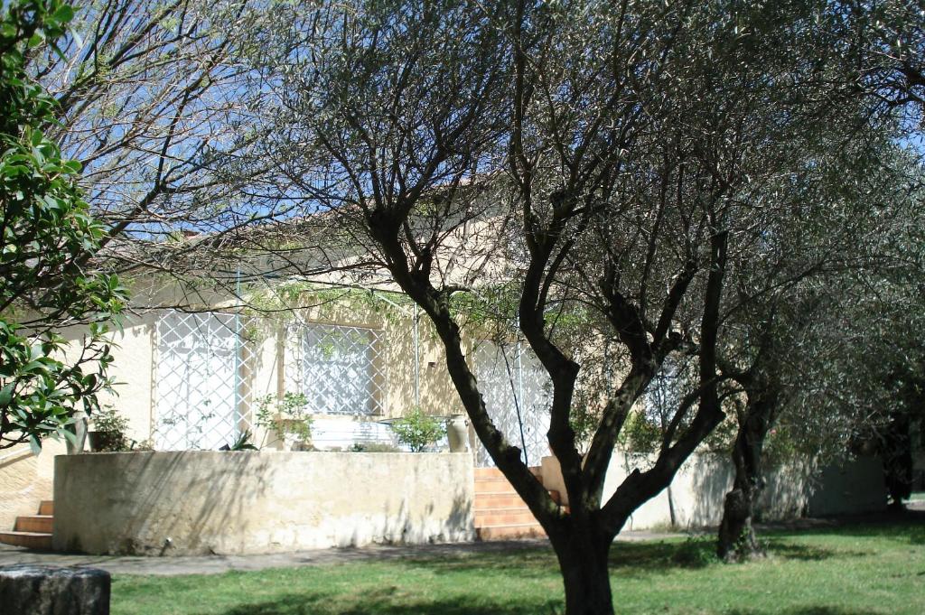 un arbre dans une cour à côté d'un mur dans l'établissement Villa Les Oliviers, aux Angles (Gard)