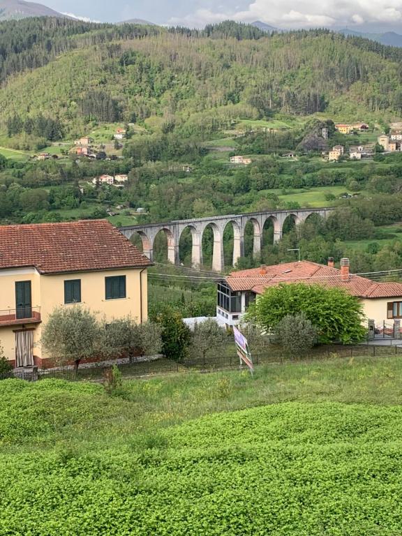 Camporgiano的住宿－Birillina al Poggio，一条高架桥,穿过一片绿地,带房子