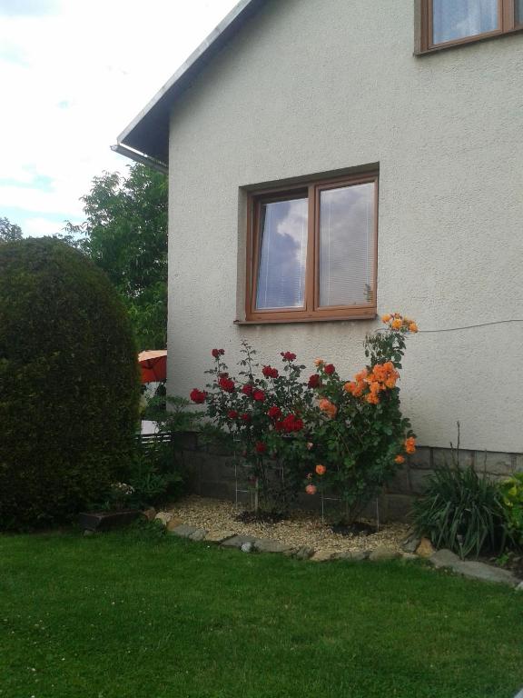 Zahrada ubytování Apartmán Rézi