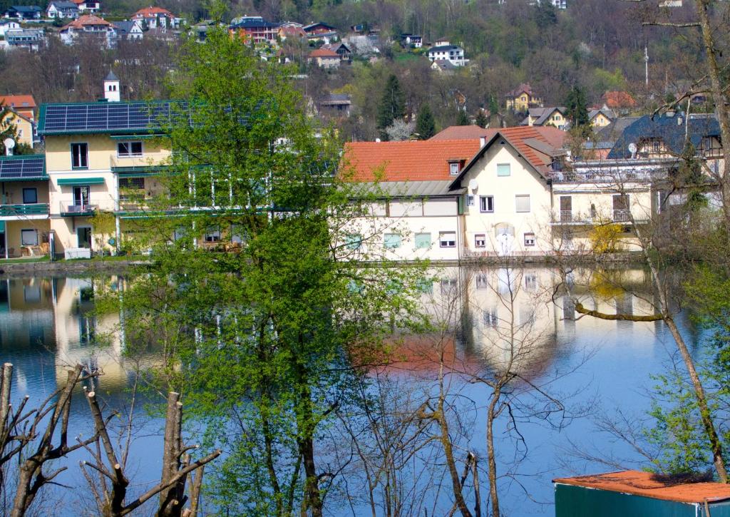Příroda nedaleko apartmánu