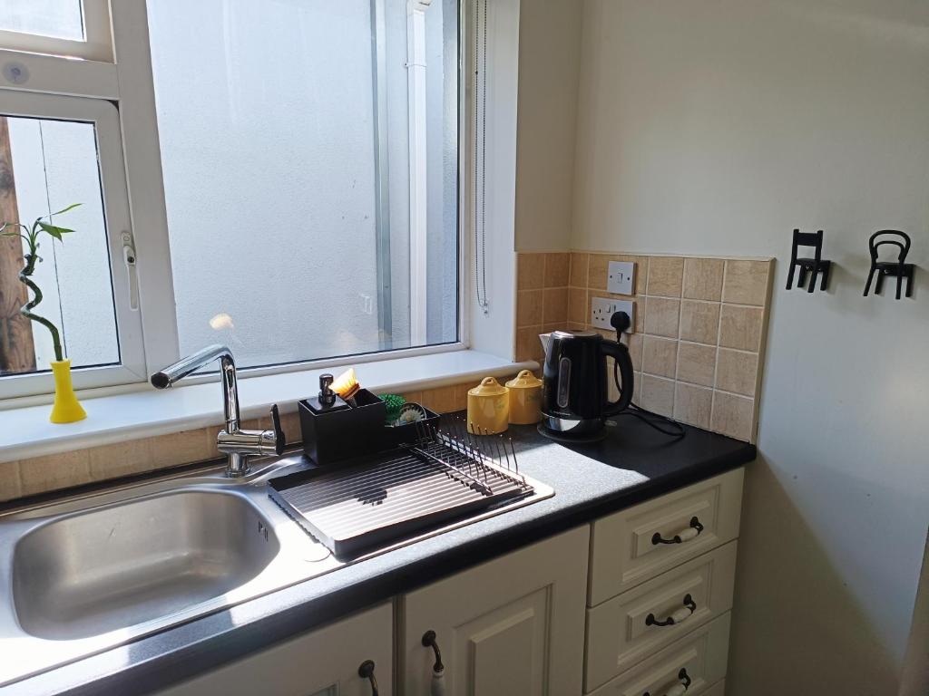 un bancone della cucina con lavandino e finestra di An Teach Beag 2 Bed Flat a Gorey
