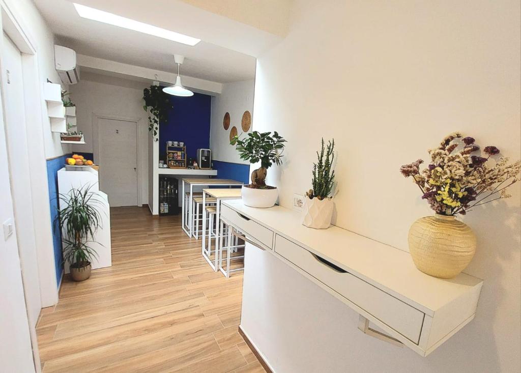 una cucina e un soggiorno con piante e bancone di Casa sulla Punta a Marina di Camerota