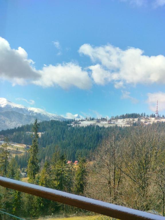 Widok Apartamenty Zakopane - 17
