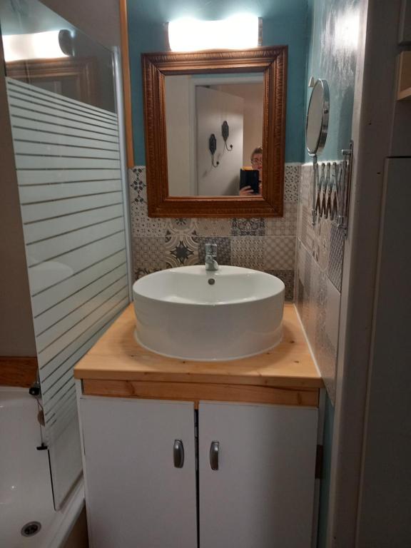 ein Badezimmer mit einem weißen Waschbecken und einem Spiegel in der Unterkunft Joli studio à St Gervais les bains in Saint-Gervais-les-Bains