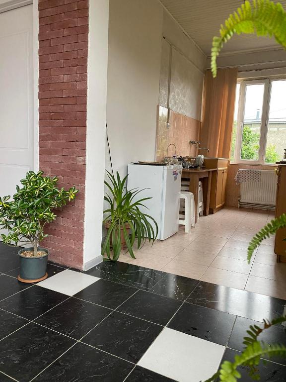 Kuchyň nebo kuchyňský kout v ubytování guest house Telavi XXI