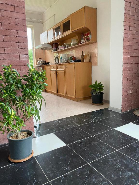 Kuchyň nebo kuchyňský kout v ubytování guest house Telavi XXI