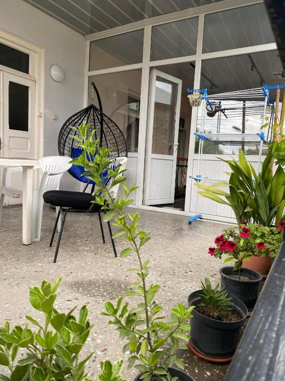 Zahrada ubytování guest house Telavi XXI