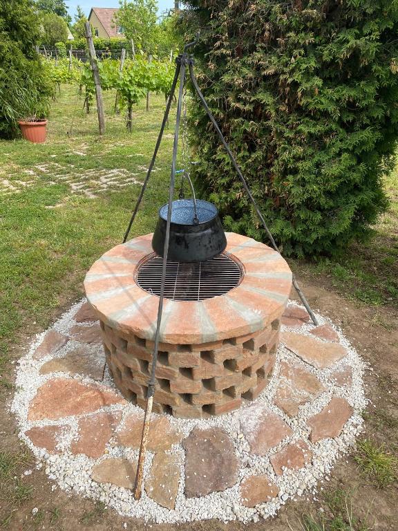 Vonkajšia záhrada v ubytovaní Füge Vendégház