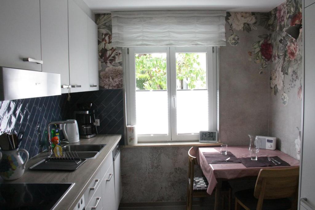 Kuchyň nebo kuchyňský kout v ubytování Ferienwohnung Vinea