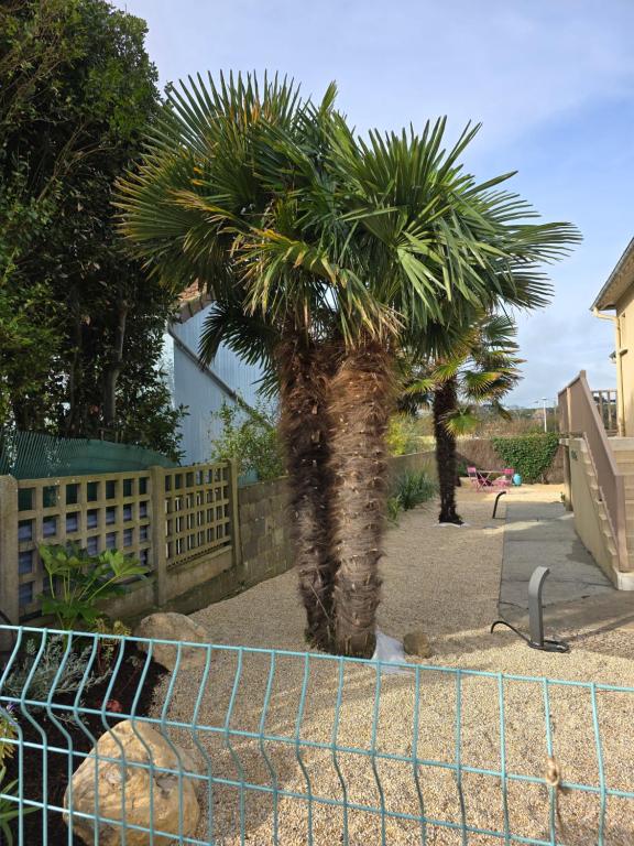 a palm tree in a yard next to a fence at Hôtel L'ideal le Mountbatten in Arromanches-les-Bains
