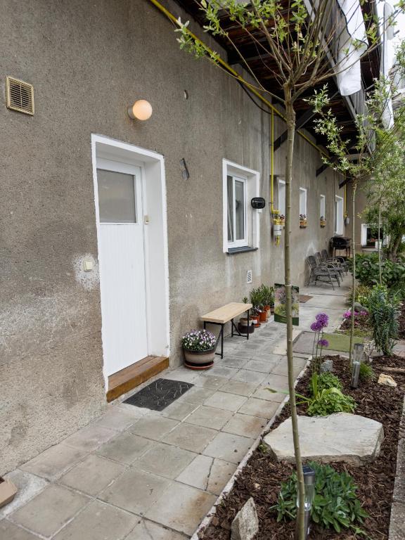Zahrada ubytování Apartmán JP
