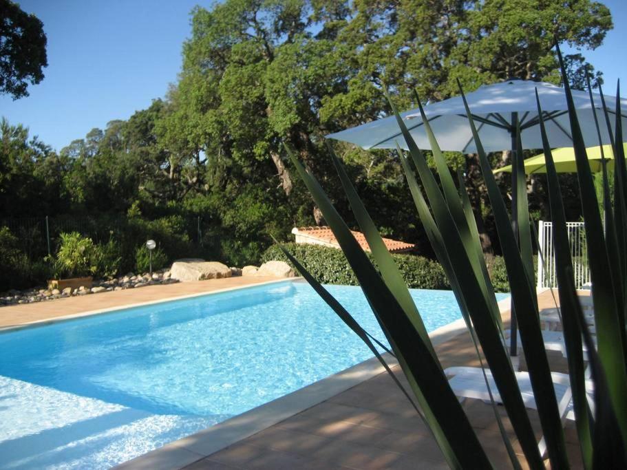 ein blauer Swimmingpool mit einem Sonnenschirm daneben in der Unterkunft Villa CASA CALLISTA , confort et calme in Sainte-Lucie de Porto-Vecchio