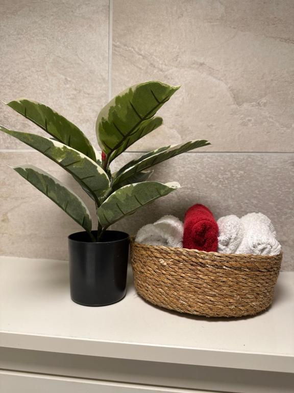 a basket with yarn and a potted plant on a shelf at Leilighet i kjelleren nær Sandefjord Torp in Sandefjord